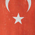 Turkish Flag Distressed iPhone XS Max Skin