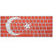 Turkish Flag Distressed Magic Keyboard Skin