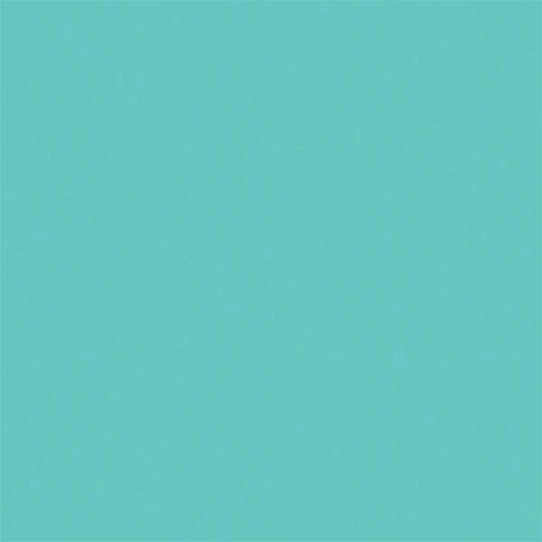 Turquoise Blue Solid Nintendo 2DS XL (2017) Skin