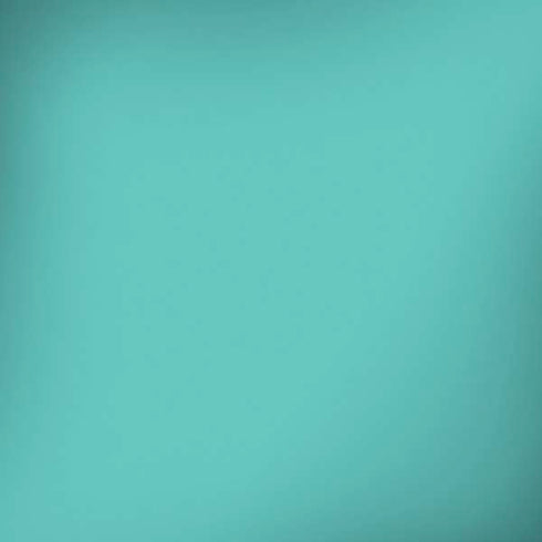 Turquoise Blue Solid iPhone X Skin