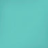 Turquoise Blue Solid iPhone XR Skin