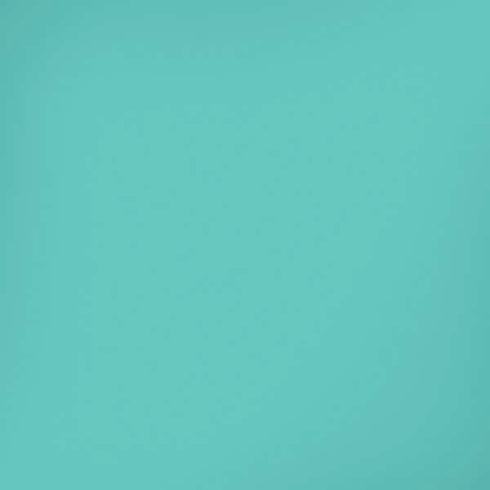 Turquoise Blue Solid iPhone XS Skin