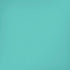 Turquoise Blue Solid iPhone XS Skin