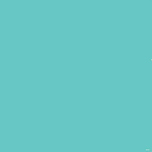 Turquoise Blue Solid PS4 Pro/Slim Controller Skin