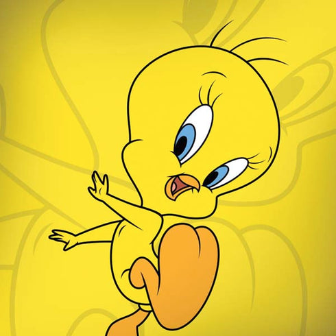 Looney Tunes Tweety Bird Double Moto G6 Skin