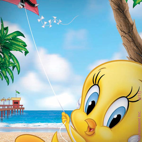 Looney Tunes Tweety Bird Ipod iPhone X Pro Case