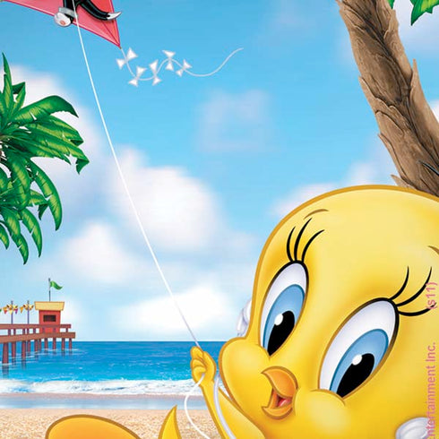 Looney Tunes Tweety Bird Ipod iPhone XS Pro Case