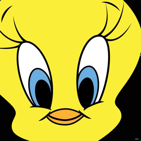 Looney Tunes Tweety Bird PS4 Pro/Slim Controller Skin