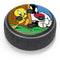 Looney Tunes Tweety Bird Sylvester Ten Cents Amazon Echo Dot Skin