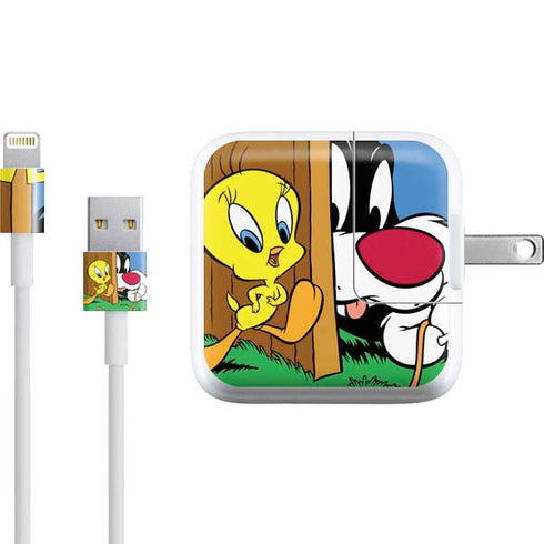 Looney Tunes Tweety Bird Sylvester Ten Cents iPad Charger (10W USB) Skin