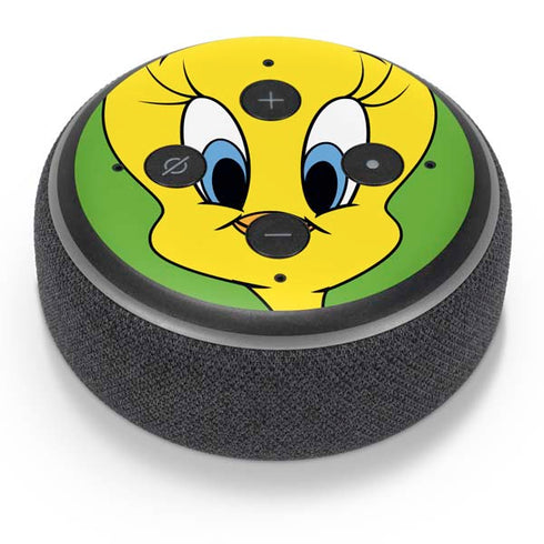 Looney Tunes Tweety Bird Zoomed In Amazon Echo Dot Skin