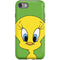 Looney Tunes Tweety Bird Zoomed In iPhone SE (2nd & 3rd Gen) Pro Case