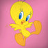 Looney Tunes Tweety Pinky iPhone X Pro Case