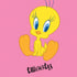 Looney Tunes Tweety Pinky Moto E5 Play Skin