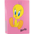 Looney Tunes Tweety Pinky PS5 Bundle Skin