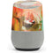 Two Little Birds Google Home Skin