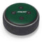 University of Miami Horizontal Mark on Green Amazon Echo Dot Skin