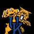 University of Kentucky UK Wilcats Mascot Moto G6 Skin