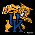 University of Kentucky UK Wilcats Mascot PS4 Slim Skin