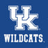 University of Kentucky UK Wildcats PS4 Slim Skin