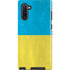 Ukraine Flag Distressed Galaxy Note 10 Pro Case