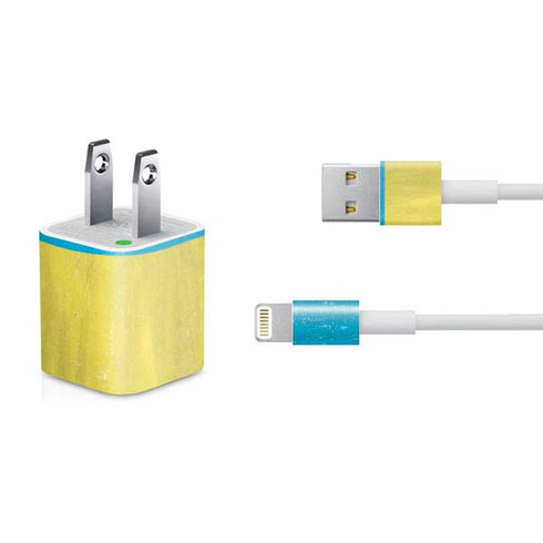 Ukraine Flag Distressed iPhone Charger (5W USB) Skin