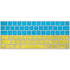 Ukraine Flag Distressed Magic Keyboard Skin