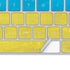 Ukraine Flag Distressed Magic Keyboard Skin