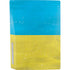 Ukraine Flag Distressed PS5 Console Skin