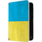 Ukraine Flag Distressed Surface Duo Skin