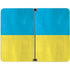 Ukraine Flag Distressed Surface Duo Skin