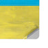 Ukraine Flag Distressed Surface Laptop Studio Skin
