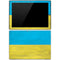 Ukraine Flag Distressed Surface Pro 3 Skin