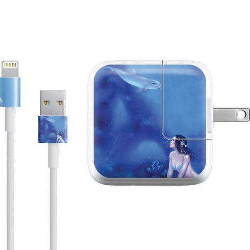 Rachel Anderson Ultramarine iPad Charger (10W USB) Skin