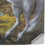 Ed Beard Jr. Unicorn of the Willow PS5 Console Skin