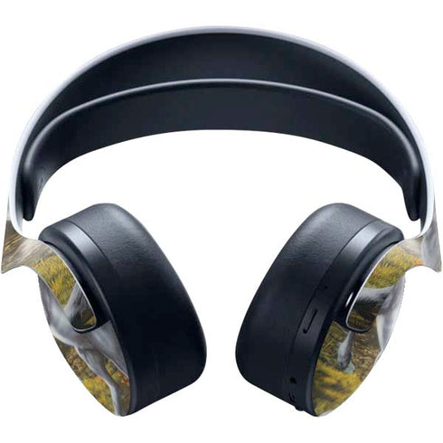 Ed Beard Jr. Unicorn of the Willow PULSE 3D Wireless Headset for PS5 Skin