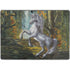 Ed Beard Jr. Unicorn of the Willow Surface Pro 9 Skin