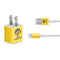 University of Iowa iPhone Charger (5W USB) Skin