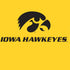 University of Iowa PS4 Pro/Slim Controller Skin