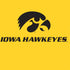 University of Iowa PS4 Slim Skin