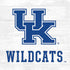 University of Kentucky University of Kentucky Wildcats PS4 Slim Skin