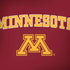 University of Minnesota Collegiate Text Dell Alienware Skin