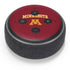 University of Minnesota Collegiate Text Amazon Echo Dot Skin