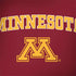 University of Minnesota Collegiate Text HP Spectre Skin