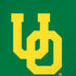 University of Oregon UO on Green iPhone XR Pro Case