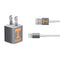 University of Tennessee-Knoxville T Logo Vols on Gray iPhone Charger (5W USB) Skin