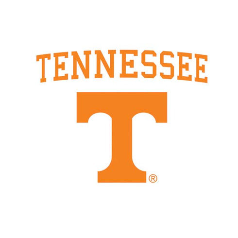 University of Tennessee-Knoxville Collegiate Text Nintendo 2DS XL (2017) Skin