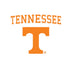 University of Tennessee-Knoxville Collegiate Text Nintendo 2DS XL (2017) Skin