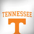 University of Tennessee-Knoxville Collegiate Text Galaxy Note 8 Skin