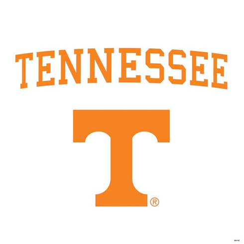 University of Tennessee-Knoxville Collegiate Text PS4 Console Skin